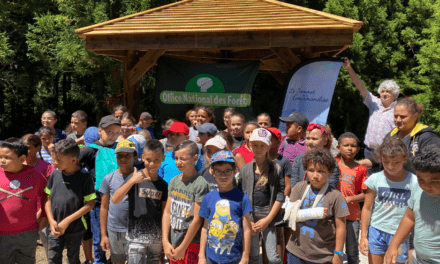 Partenariat Piton des Neiges / ONF : l’inauguration du kiosque
